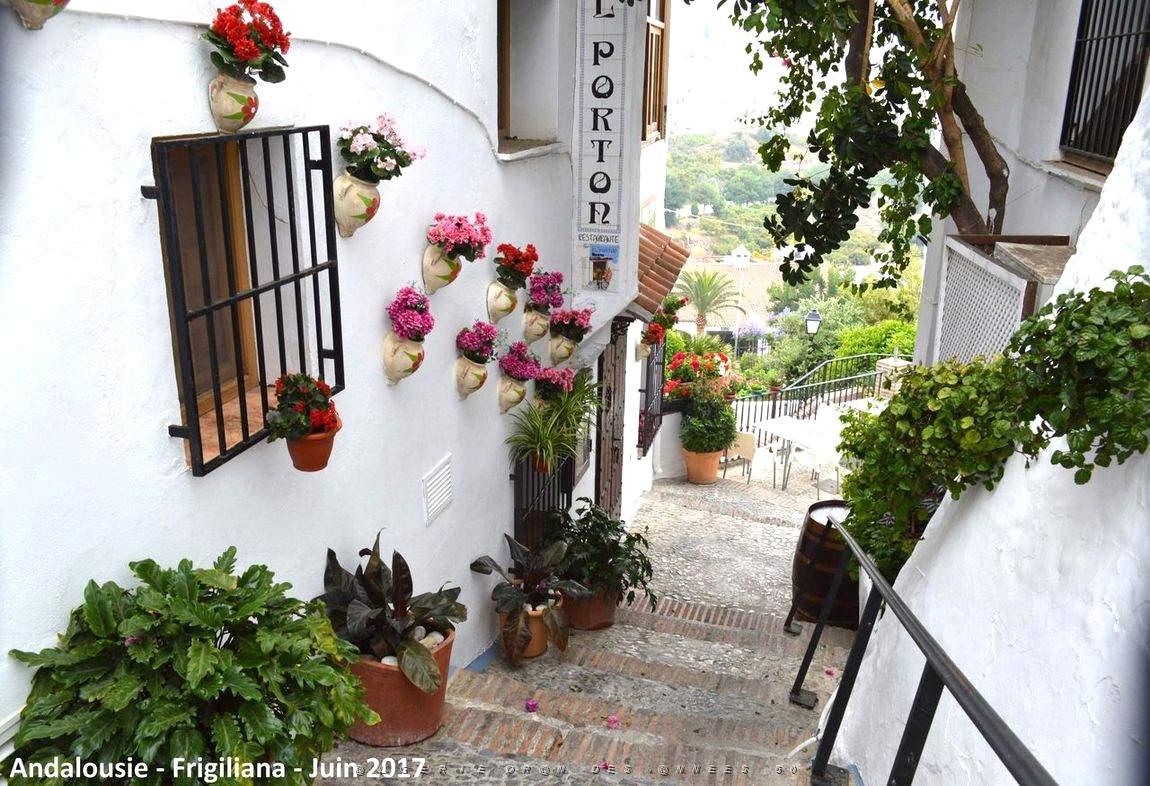 601 - Frigiliana.JPG